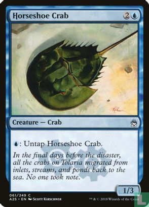 Horseshoe Crab