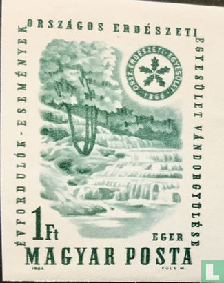 Congress of the Forestry Federation
