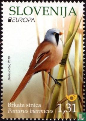Europa - National birds