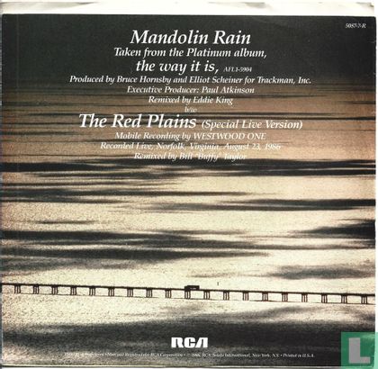 Mandolin Rain - Afbeelding 2