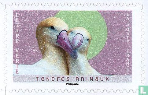 Tendres animaux