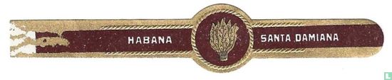 Santa Damiana Hojas de tabaco Habana - Afbeelding 1