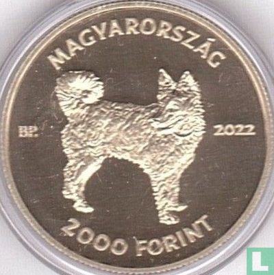Hungary 2000 forint 2022 (PROOFLIKE) "Mudi" - Image 1
