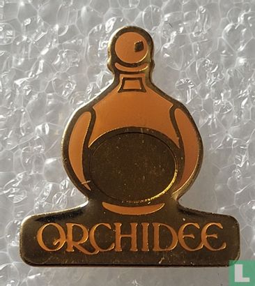 Orchidee - Image 1