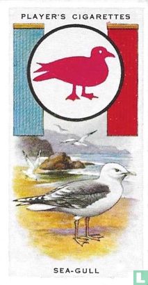 Sea-Gull - Image 1