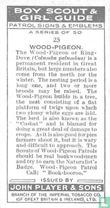 Wood-Pigeon - Bild 2