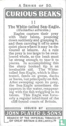 The White-tailed Sea Eagle. - Afbeelding 2
