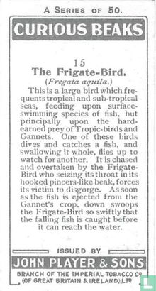 The Frigate-Bird. - Image 2