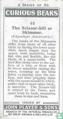 The Scissor-bill or Skimmer. - Image 2