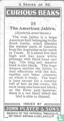 The American Jabiru. - Image 2