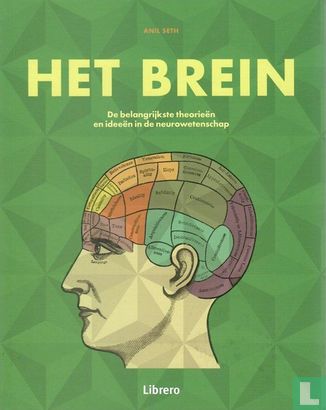 Het brein - Image 1
