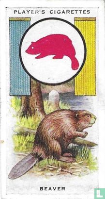 Beaver - Bild 1