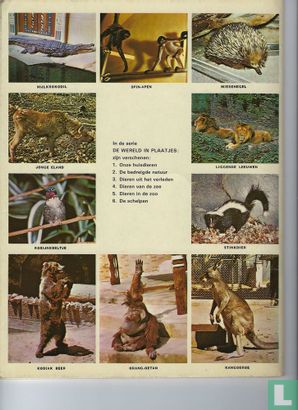 Dieren van de zoo - Afbeelding 2
