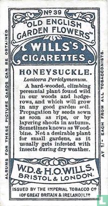 Honeysuckle. - Afbeelding 2
