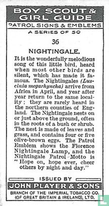 Nightingale - Image 2
