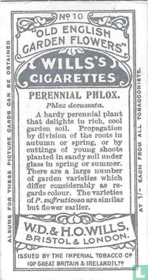 Perennial Phlox. - Bild 2