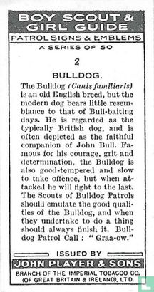 Bulldog - Afbeelding 2