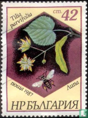 Bijen en planten