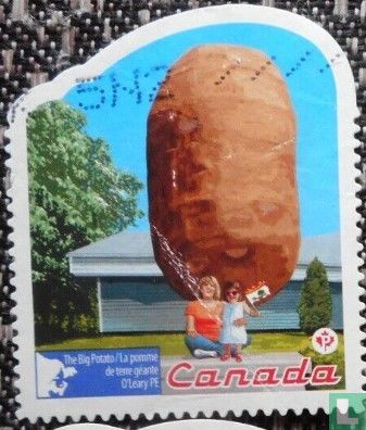Attractions de la rue