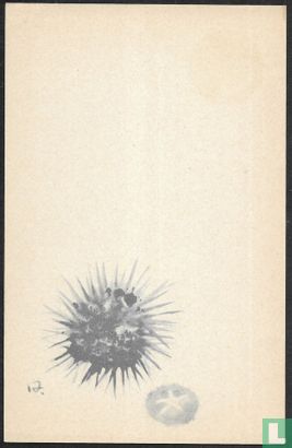 Carte de voeux d'été 1959 - Image 2