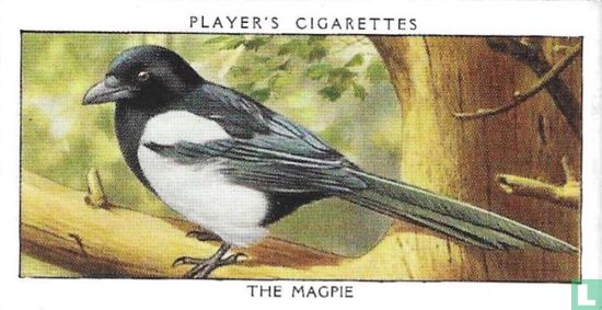The Magpie - Afbeelding 1