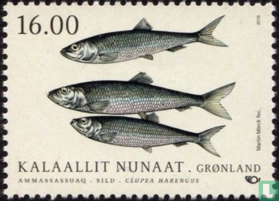 Pêche dans les eaux groenlandaises