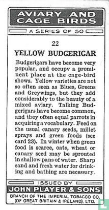 Yellow Budgerigar - Image 2