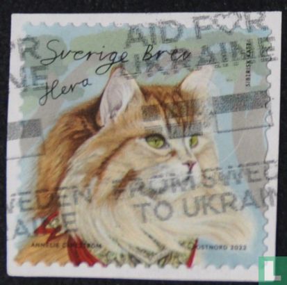 Cats