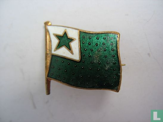 Groene vlag met ster