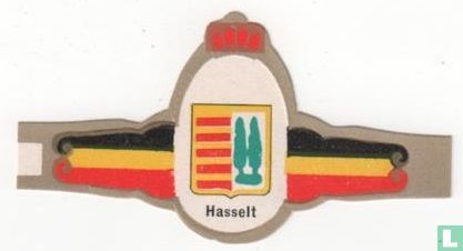 Hasselt - Afbeelding 1