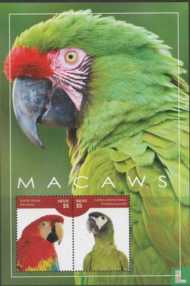 Macaw