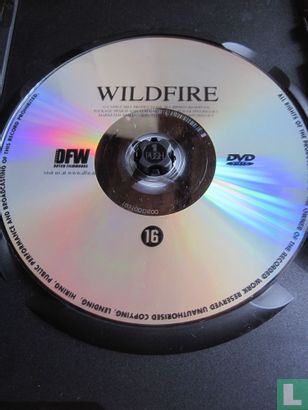 Wild Fire - Image 3
