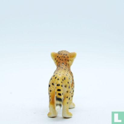Young Cheetah - Image 2