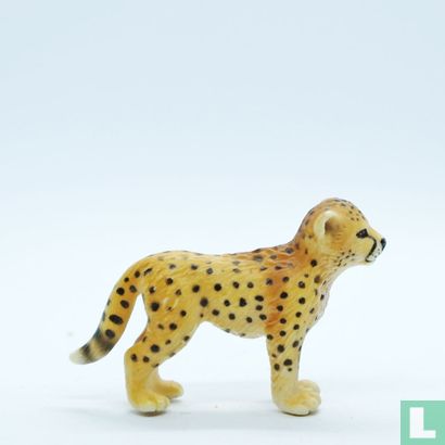 Young Cheetah - Image 3