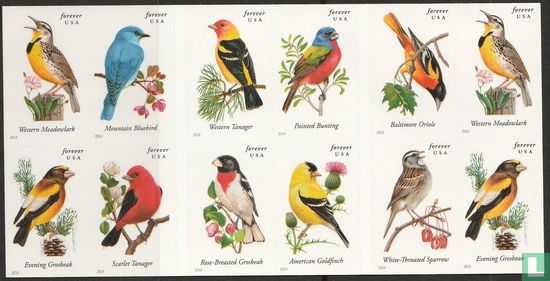 Songbirds - Image 2