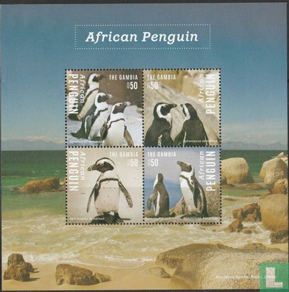 Afrikanische Pinguine