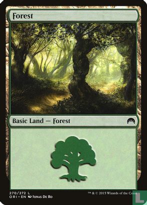 Forest - Bild 1