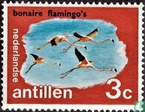Islands, Bonaire flamingos.