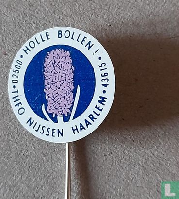 Holle bollen! Theo Nijssen - Haarlem 02500 43615 (hyacint) [lila-blauw-blauw] 
