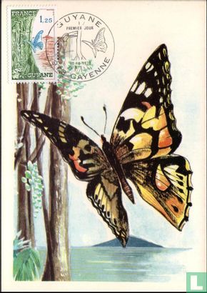 Guyane - Image 1