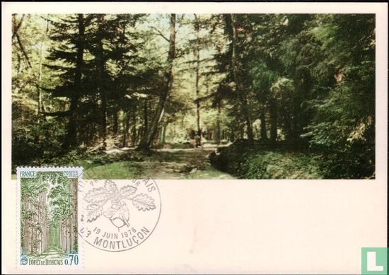 Troncais-Wald - Bild 1