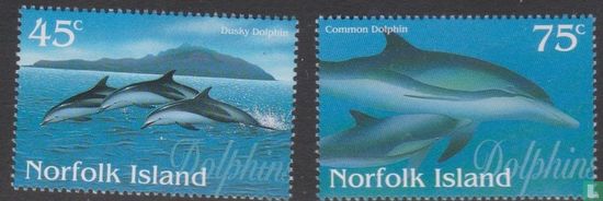  Dolphins