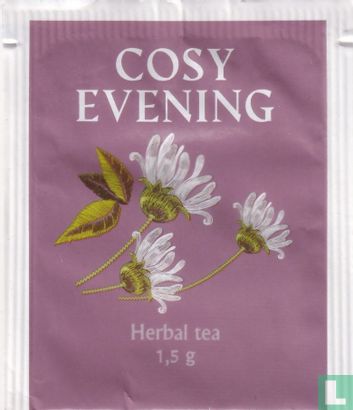 Cosy Evening - Image 1