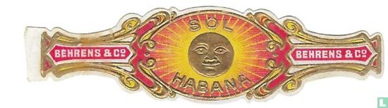 Sol Habana - Behrens & Co. - Behrens & Co. - Image 1