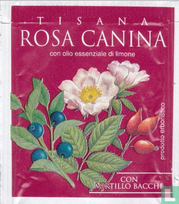 Rosa Canina  - Bild 1