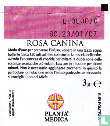 Rosa Canina  - Bild 2