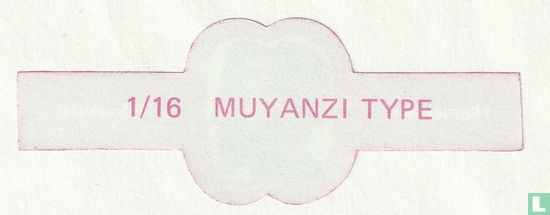 Muyanzi Type - Afbeelding 2