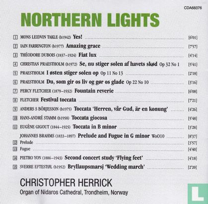 Northern lights - Image 9