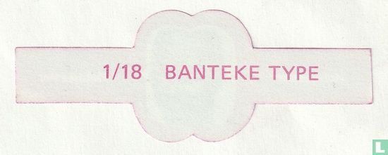 Banteke type - Afbeelding 2
