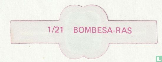 Bombesa ras - Bild 2